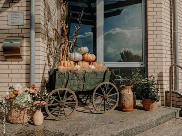 Obraz cart with pumpkins