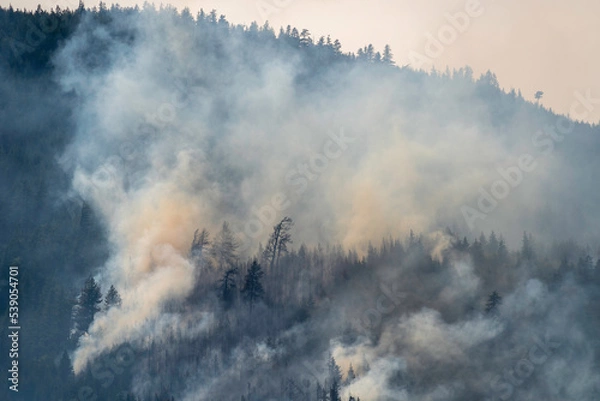 Obraz Nohomin Creek Forest Fire