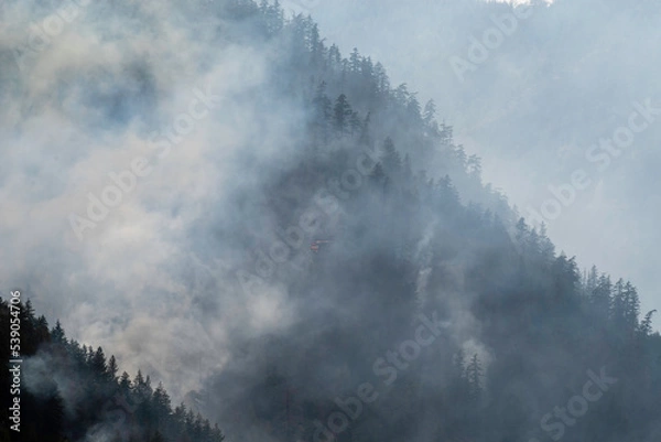 Obraz Nohomin Creek Forest Fire