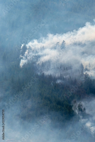 Obraz Nohomin Creek Forest Fire
