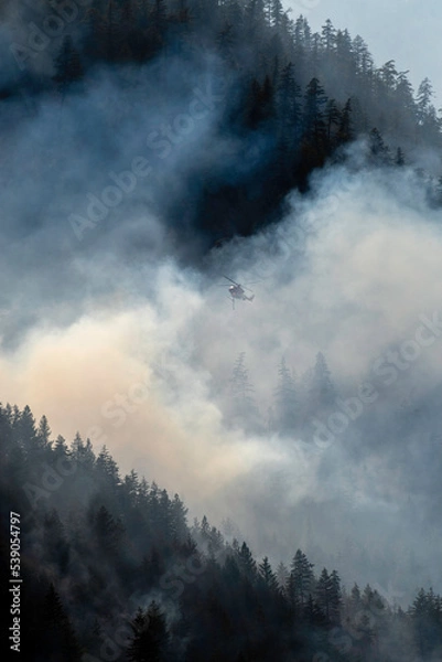 Obraz Nohomin Creek Forest Fire