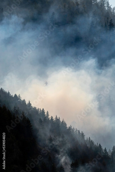 Obraz Nohomin Creek Forest Fire