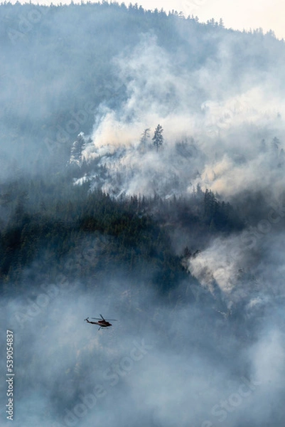 Obraz Nohomin Creek Forest Fire