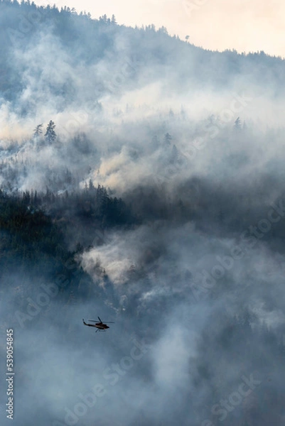 Obraz Nohomin Creek Forest Fire