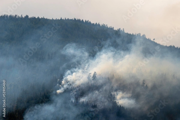 Obraz Nohomin Creek Forest Fire
