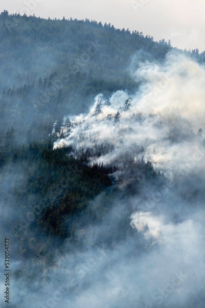 Obraz Nohomin Creek Forest Fire
