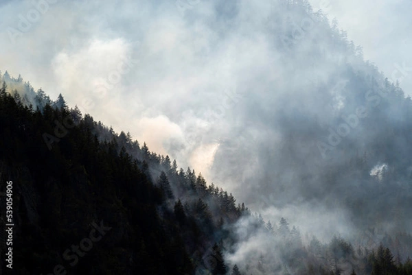 Obraz Nohomin Creek Forest Fire