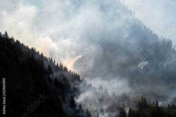 Obraz Nohomin Creek Forest Fire