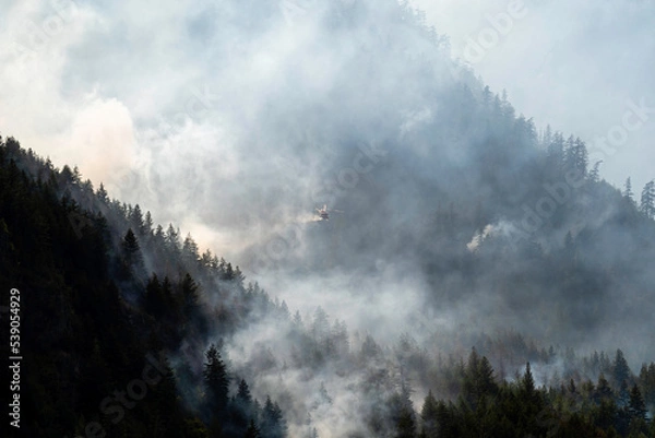 Obraz Nohomin Creek Forest Fire