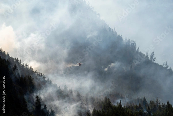 Obraz Nohomin Creek Forest Fire