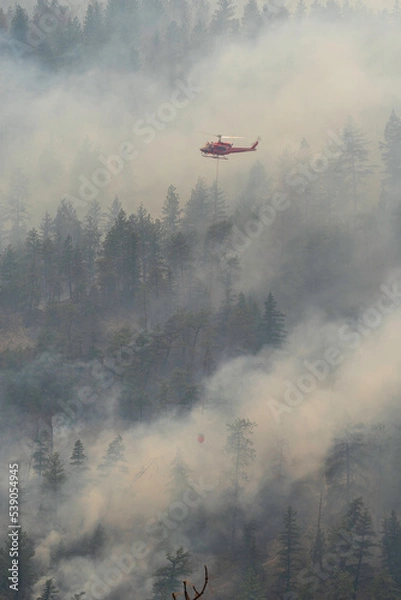 Obraz Nohomin Creek Forest Fire
