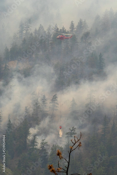 Obraz Nohomin Creek Forest Fire