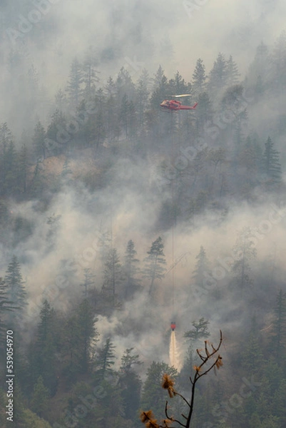 Obraz Nohomin Creek Forest Fire