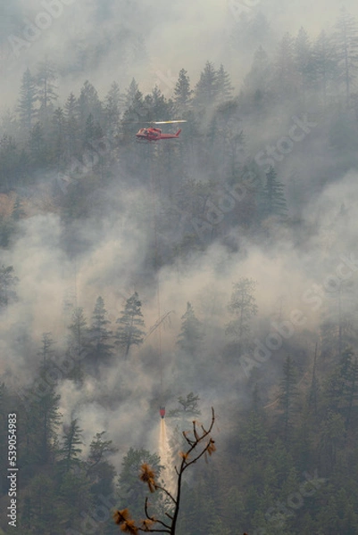 Obraz Nohomin Creek Forest Fire