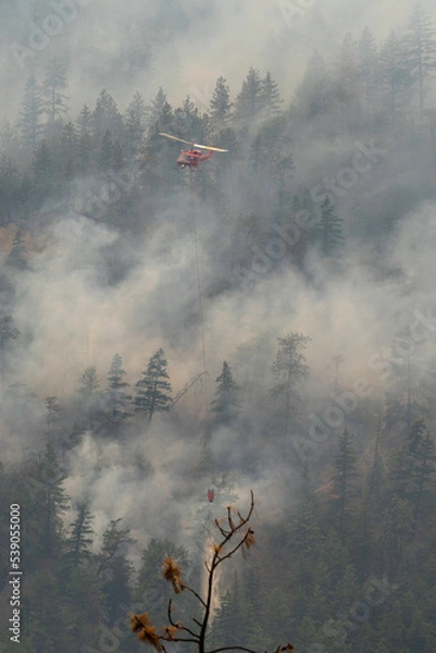 Obraz Nohomin Creek Forest Fire