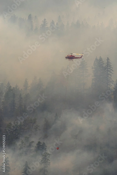 Obraz Nohomin Creek Forest Fire