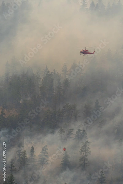 Obraz Nohomin Creek Forest Fire