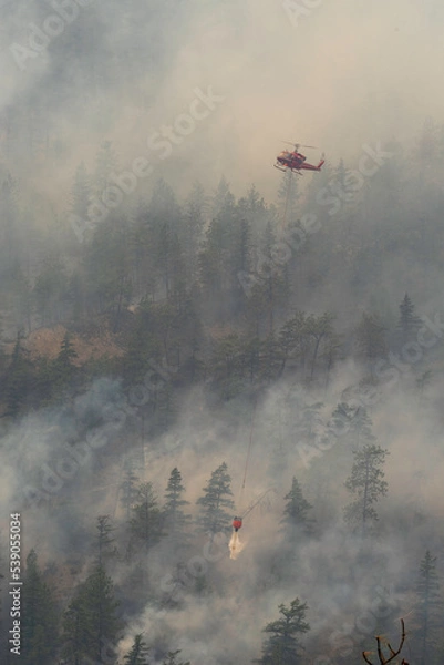 Obraz Nohomin Creek Forest Fire