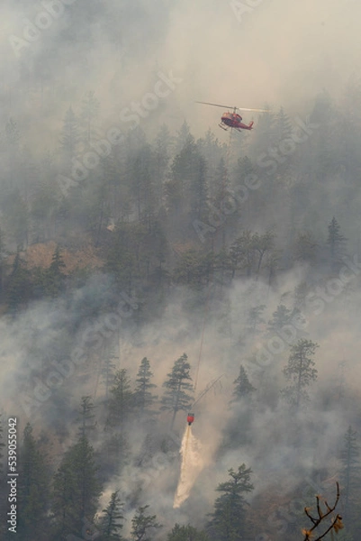 Obraz Nohomin Creek Forest Fire