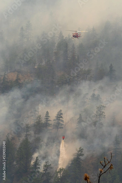 Obraz Nohomin Creek Forest Fire