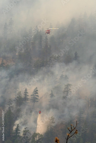 Obraz Nohomin Creek Forest Fire