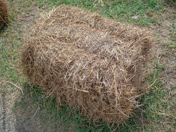Fototapeta Hay bundle in a rectangular shape on the ground in the field.