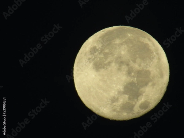 Fototapeta 日本秋の十三夜