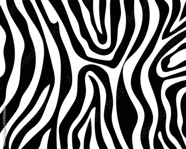 Fototapeta vector zebra skin texture.