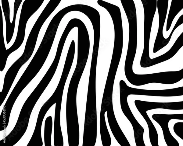 Fototapeta vector zebra skin pattern texture.
