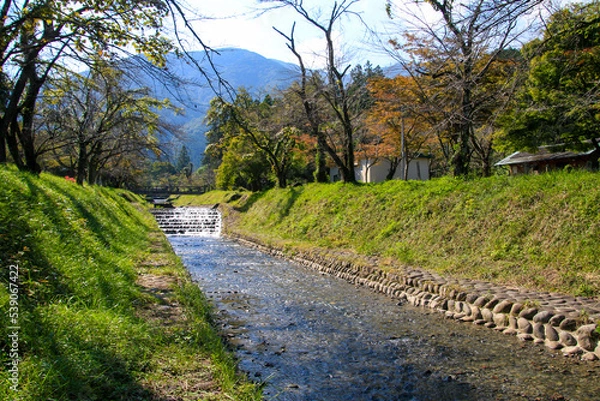 Fototapeta 朝鳥公園