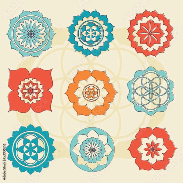 Obraz sacred geometry flower of life symbols