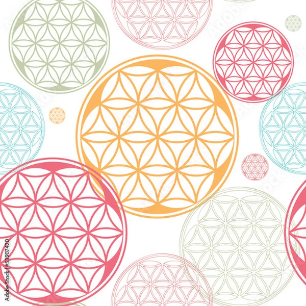 Obraz sacred geometry flower of life seed pattern