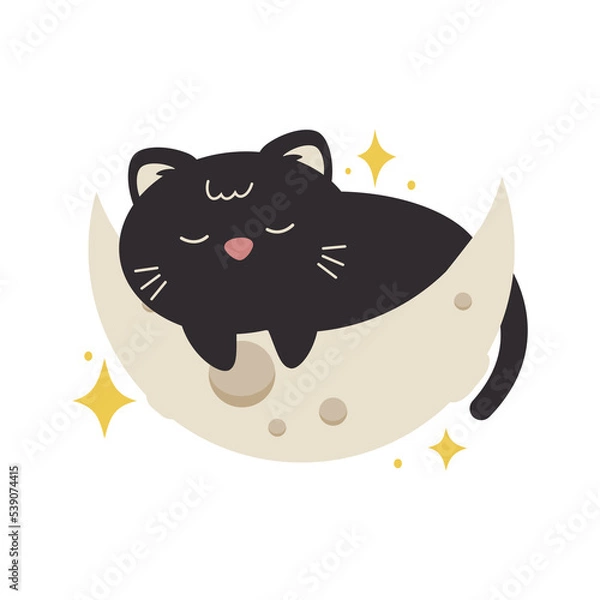 Obraz Black Cat Sleeping Crescent Moon