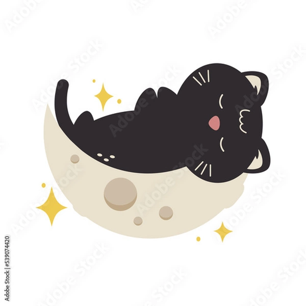 Obraz Black Cat Sleeping On Moon