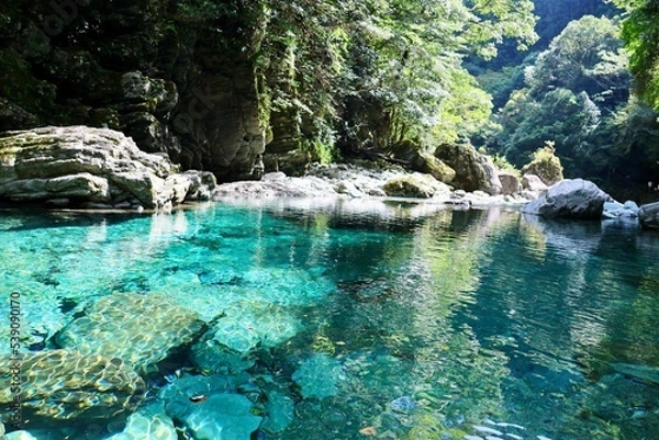 Fototapeta 安居渓谷　仁淀川水系で一番美しい水流　水晶淵　日本一の清流　自然公園