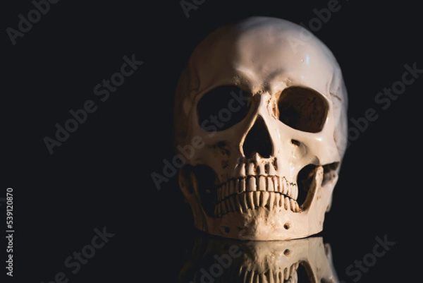 Fototapeta Human skull on a black background.
