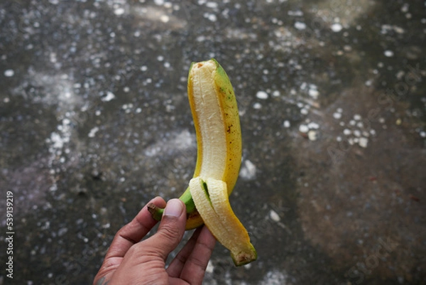 Obraz hand holding banana