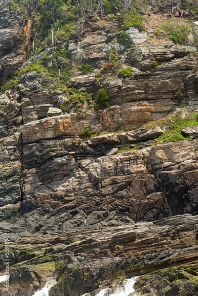 Obraz stream in the forest