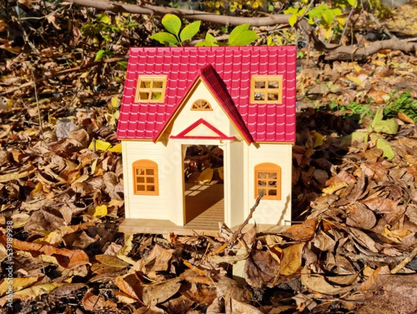 Obraz Model house on dry grass and autumn leaves with sunlight background. House symbol on autumn background.