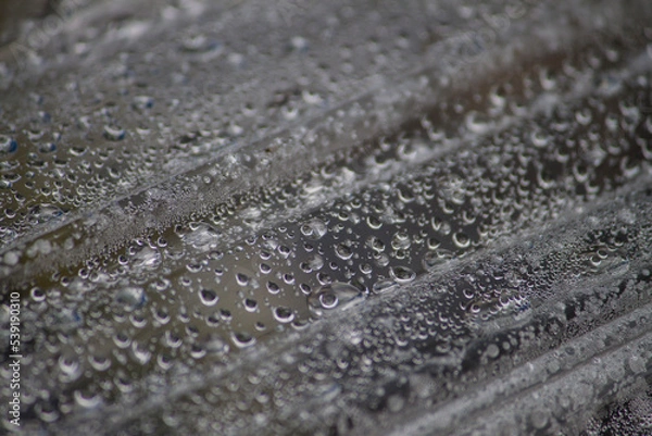 Obraz drops of water