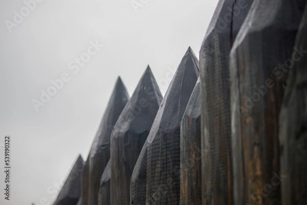 Obraz building in the city