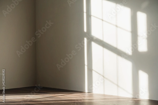 Obraz window natural shadow