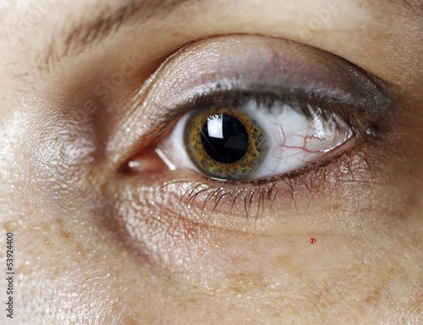 Obraz Portrait of a woman