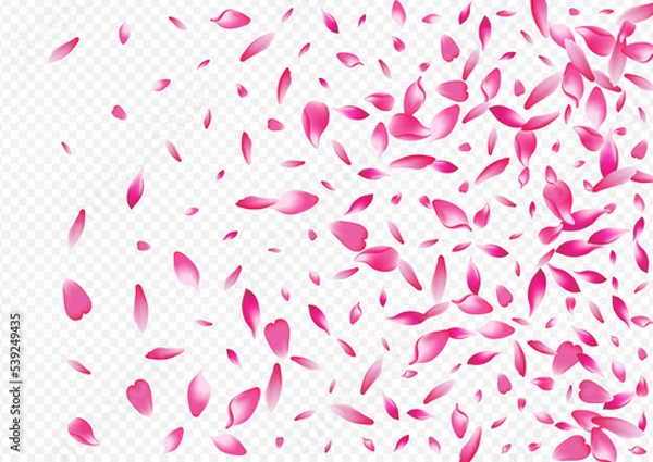 Fototapeta Red Floral Vector Transparent Background. Petal