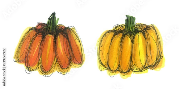 Fototapeta Pumpkin marker illustration. Two hand drawn stylized pumpkins isolated on white background. Fast sketch with markers and black liner. Element for halloween design