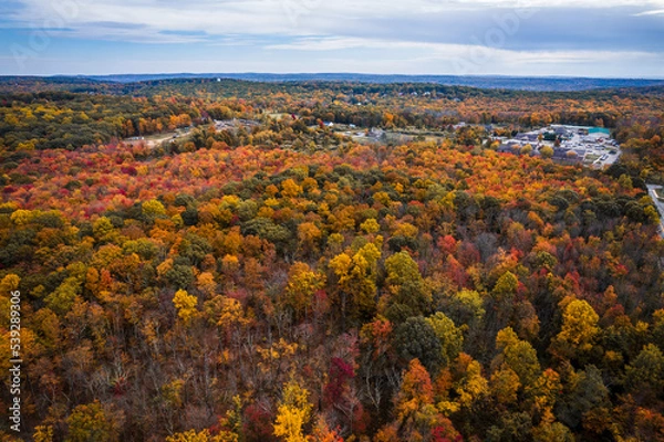 Fototapeta Drone of Budd Lake, Mount Olive New Jersey in the Autumn