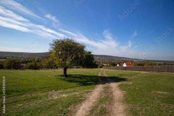 Obraz landscape with a road