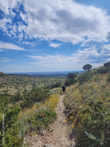 Obraz path to the sea