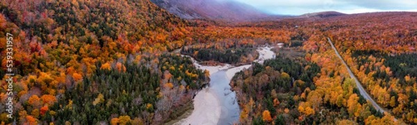 Fototapeta Drone view of Cape Breton Island, Autumn Colors in Forest, Forest Drone view, Colorful Trees in Forest