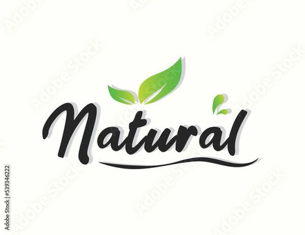 Obraz Natural typography logo design template